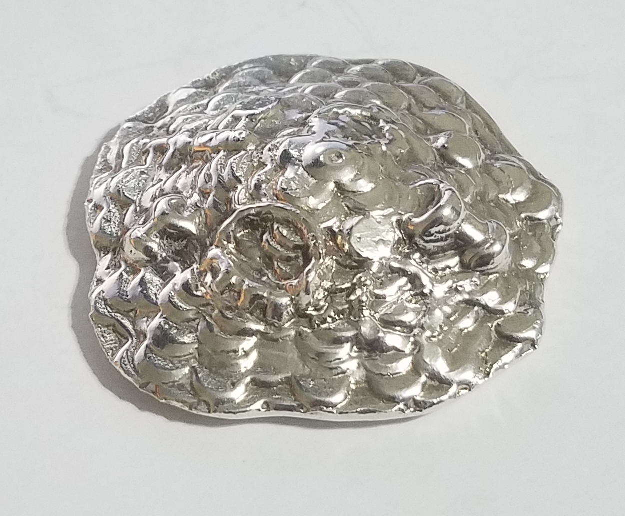 6.6 OZT Silver Treasure Round